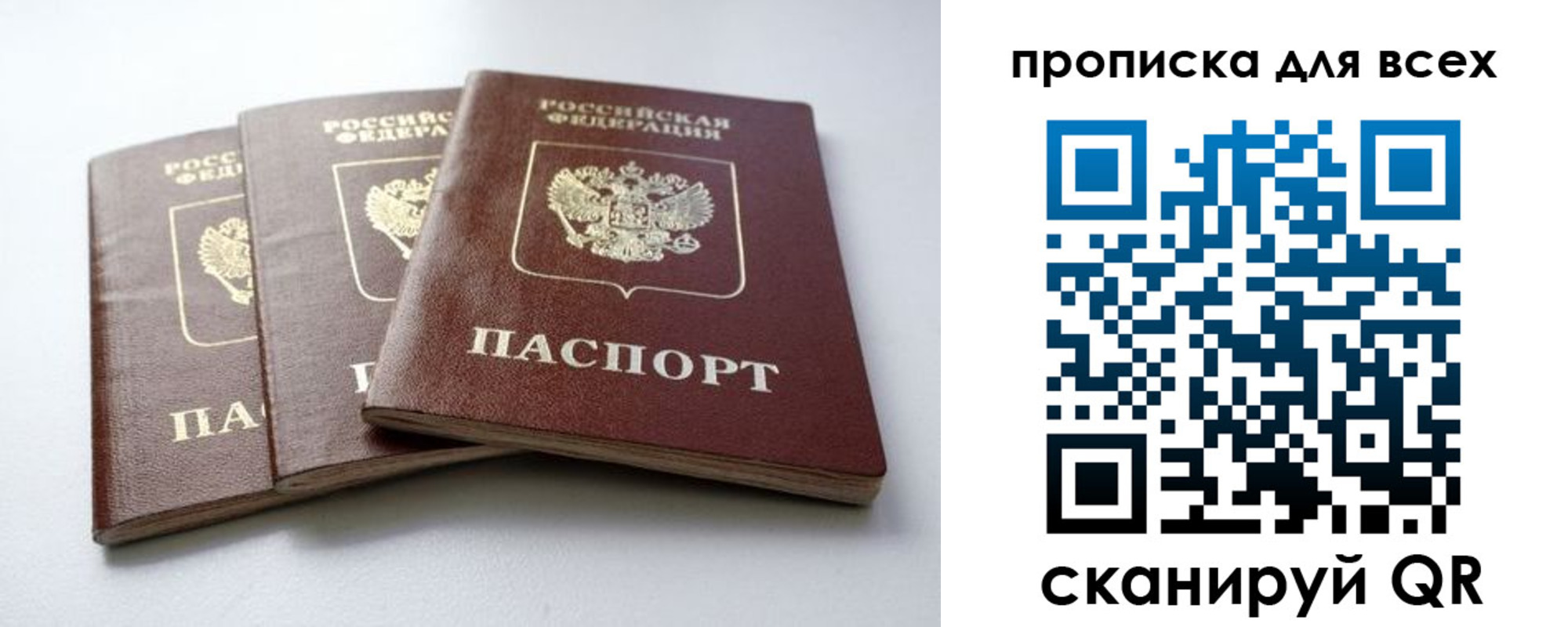 временная регистрация 2025 в Курской области